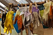 GARDENING GLOVES HANGING IN GREENHOUSE AT COPPED HALL, ESSEX