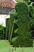 ROW OF SHAPES IN YEW (TAXUS BACCATA). TOPIARY GARDEN