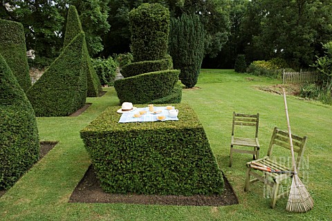 AFTER_THE_PARTYS_OVER_LEANING_CUBE_WITH_TEA_PARTY__PLUS_THE_TOPIARISTS_TOOLS___TAXUS_BACCATA_TOPIARY