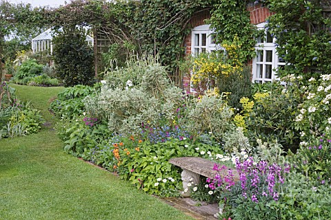 STONE_BENCH_WITH_BORDER_IN_FRONT_OF_COTTAGE_KITCHEN_GDN_WITH_GREENHOUSE_IN_BGD_ERYSIMUM_BOWLES_MAUVE