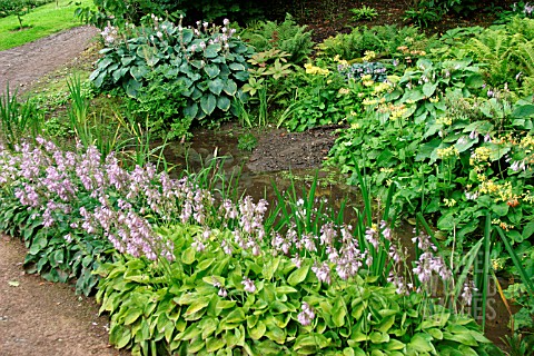 MIXED_HOSTAS_BY_POOL