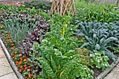 DECORATIVE VEGETABLE BED IN JULY