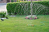 WATERING USING AUTOMATIC SPRINKLER ON LAWN