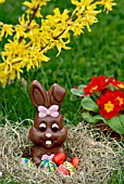 Chocolate bunny and chocolate eggs at Easter in a nest - France