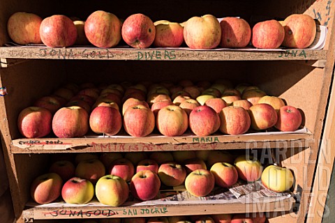 Crop_of_apple_cultivars_stored_in_a_fruit_stand
