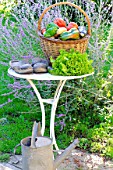 Basket of assorted vegetables; tomatoes, peppers, lettuce, zucchini, potatoes, and wooden shoes, zinc watering can on a table