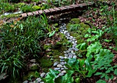 River pebbles lined with Darmera peltata, Luzula sylvatica and Bergenia