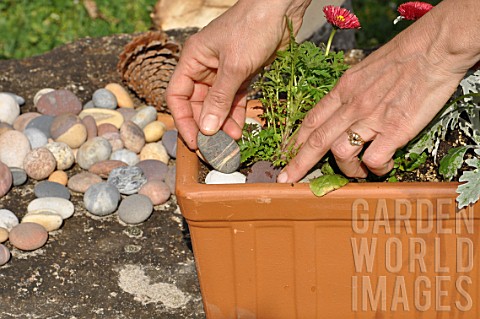 Preparation_and_planting_of_a_window_flower_box
