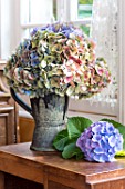 Dried Hydrangea bouquet