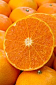 Citrus Nadorcott (ClemenGold / Tangors Mandarine )