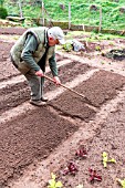 Preparing the kitchen garden soil before sowing