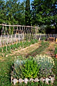 Herbs in a square foot vegetable garden and Tomatoes on stakes, Provence, France