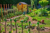 Shed, row of tomatoes on stakes and Zucchini in vegetable garden in June, Provence, France