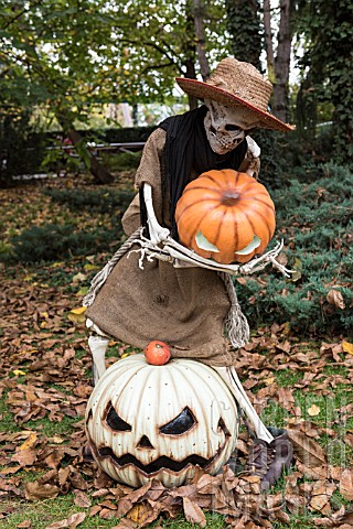 Halloween_display_using_pumpkins_and_skeleton_in_a_garden_Germany