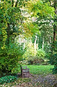 Wooden bench in a garden in autumn, Somme, France