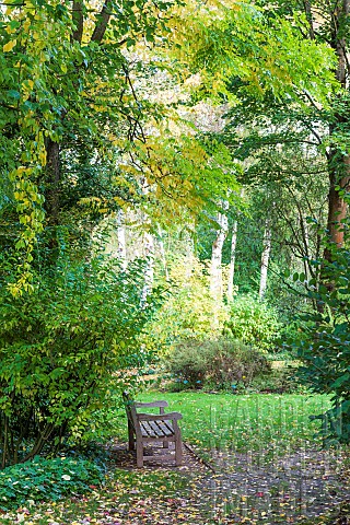 Wooden_bench_in_a_garden_in_autumn_Somme_France