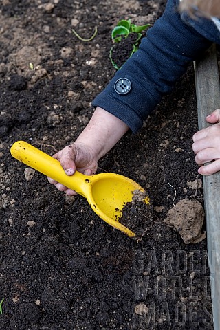Child_gardening_in_a_tub_in_the_spring_Pas_de_Calais_France