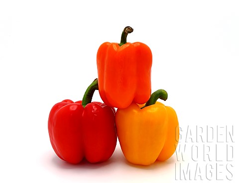 Three_sweet_peppers_of_yellow_red_and_orange_color_on_a_light_background_Natural_product_Natural_col