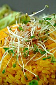 Sprouted seeds on a spicy saffron rice dish