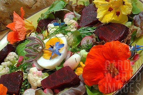 Raw_salad_dish_cauliflower_and_red_beetroot_with_hardboiled_egg_herbs_and_edible_flowers_borage_and_