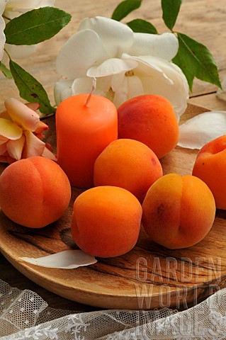 Apricots_Prunus_armeniaca_and_candle_in_a_wooden_plate_on_a_flowery_table_in_the_countryside_with_ol