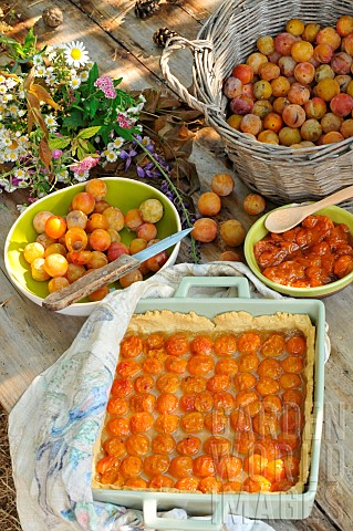 Mirabelle_plums_yellow_plums_pitting_the_fruit_homemade_mirabelle_plum_tart_mirabelle_plum_jam_and_f