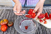 Harvesting seeds of old variety tomatoes Coeur de boeuf