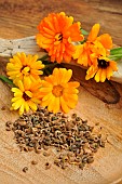 Collection of Pot Marigold flower seeds, Calendula officinalis and flowers