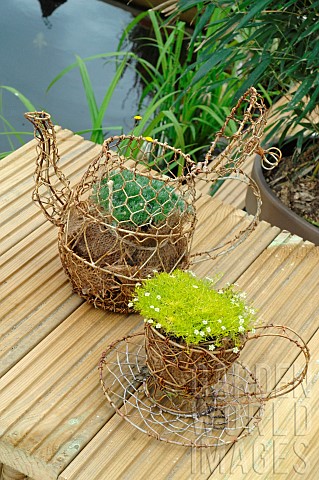Garden_decoration_short_plants_in_a_cup_and_a_teapot_made_of_wire_mesh