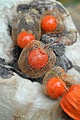 Chinese lantern (Physalis alkekengi), a vitamin-packed berry rich in nutrients and trace elements.