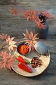 Pepper (Capsicum annuum) powder, dried and fresh, red Maple leaves