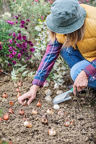 Woman_planting_bulbs_in_autumn