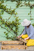 Woman setting up a mini vegetable garden on a terrace step by step.