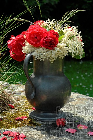 Bouquet_of_flowers_outdoors_Red_Roses_Rosa_sp_and_Elder_flowers__Sambucus_sp_in_a_pewter_pot