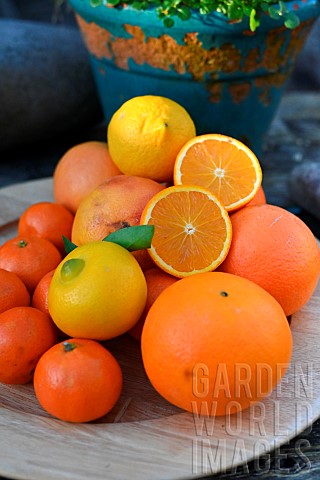 Mixed_citrus_fruits