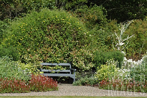 Bench_in_front_of_a_thicket_of_shrubs