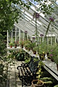 Inside greenhouse at Malleny Garden in Scotland