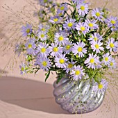 BOUQUET OF LILAC BLUE AUTUMN ASTERS