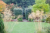 RHS ROSEMOOR GARDEN, DEVON, IN EARLY AUTUMN WITH CLIPPED WHITEBEAM AND ASSORTED TREES IN BACKGROUND, STIPA GIGANTEA SEEDHEADS IN FOREGROUND