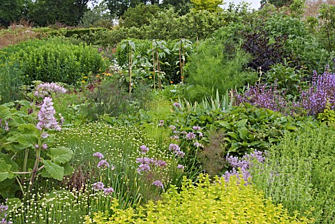 HERB_GARDEN_AT_HARLOW_CARR