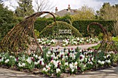 SPRING BEDDING DISPLAY WITH TULIP APRICOT BEAUTY AND HYACINTHS WOODSTOCK AND LINNOCENCE AND WITH WILLOW SCULPTURE
