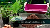 HOW TO: CREATING A HERB PLANTER - STEP BY STEP ACTION VIDEO