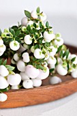 FESTIVE DECORATION WITH GAULTHERIA