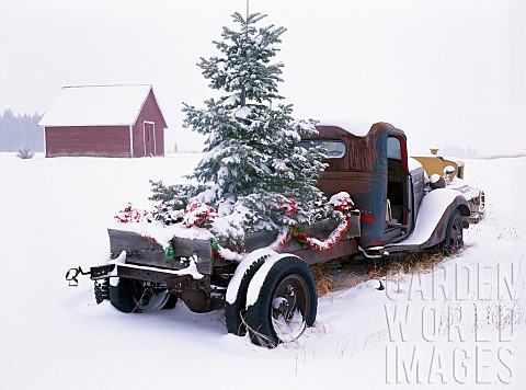 Christmas_decorations_on_old_truck_with_snow_Oregon_USA