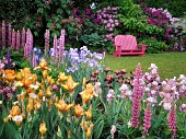 Garden chair and flower garden, Schrieners Iris Gardens, Salem, Oregon, USA.