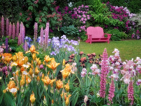 Garden_chair_and_flower_garden_Schrieners_Iris_Gardens_Salem_Oregon_USA