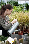 Young girl working in garden centre, Watering plants.