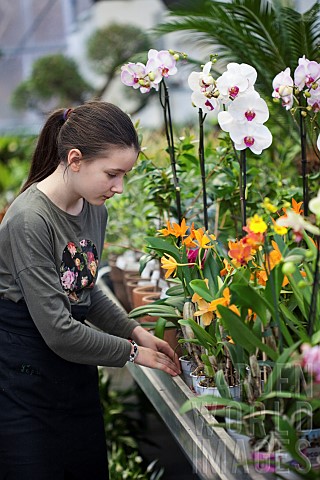 Young_girl_working_in_garden_centre