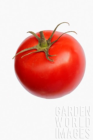 Tomato_Beef_tomato_Lycopersicon_cultivar_Studio_shot_of_red_fruit_against_white_background