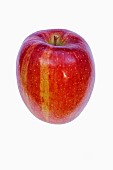 Apple, Malus domestica Braeburn, Studio shot of red fruit against white background.